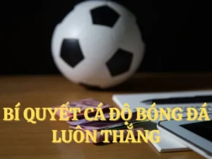 Tìm Hiểu Cá Cược Bóng Đá Iwin Club Với Nhiều Tùy Chọn Tỷ Lệ Hấp Dẫn